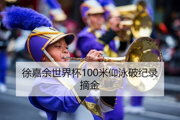 徐嘉余世界杯100米仰泳破纪录摘金