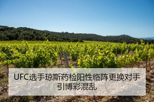 xuan-shou-qiong-si-yao-jian-yang-xing-lin-zhen-geng-huan-dui-shou-yin-bo-cai-hun-luan-2-450.jpg
