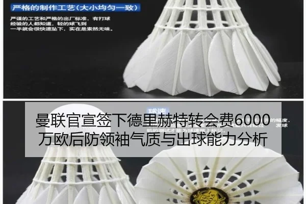 man-lian-guan-xuan-qian-xia-de-li-he-te-zhuan-hui-fei-wan-ou-hou-fang-ling-xiu-qi-zhi-yu-chu-qiu-neng-li-fen-xi-3-516.jpg